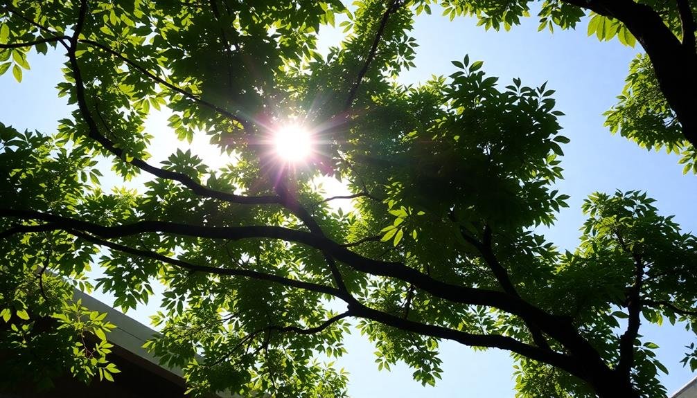 shade providing insulation powerhouses